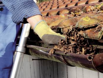 Unfallversicherung - Gartenarbeit